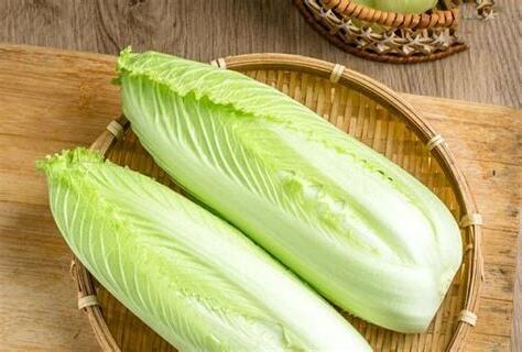 大白菜 意思